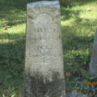 alice-bliss.jpg